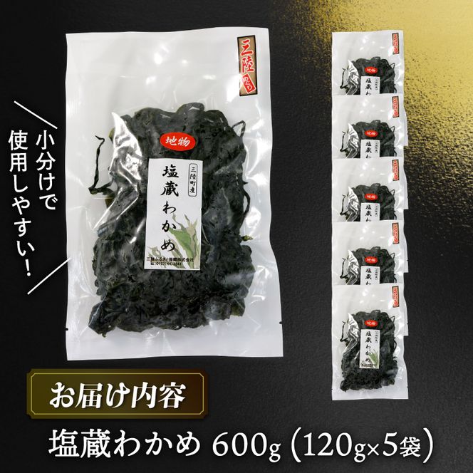 三陸わかめ 道の駅さんりく 塩蔵わかめ 120g 5袋 [michinoeki006_1]