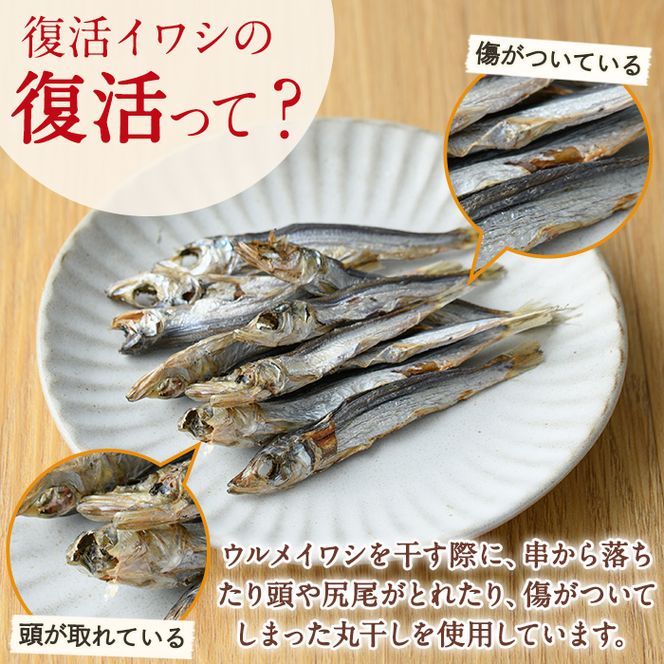 復活イワシ(10パック) おやつ お菓子 いわし イワシ 鰯 ウルメイワシ 丸干し カルシウム セット 詰め合わせ【下園薩男商店】akn086-05