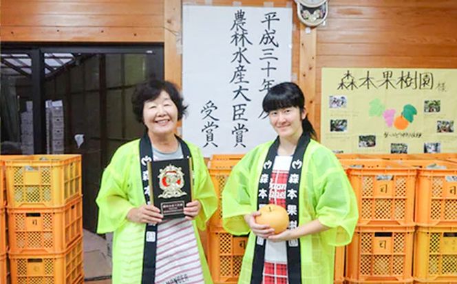 【2026年収穫】森本果樹園の新高梨　2～2.5㎏（2～3玉）