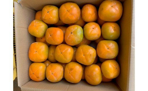 たねなし柿 家庭用 約7kg（サイズミックス） CC39