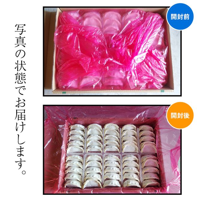国産豚肉！国産野菜使用！冷凍餃子100個セット 冷凍食品 惣菜 中華惣菜 まとめ買い [BE02-NT]