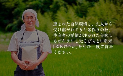 【北海道最上級ブランド米】「ゆめぴりか」5㎏×2 ふるさと納税 人気 おすすめ ランキング ゆめぴりか お米 米 ご飯 白米 おいしい 北海道 平取町 送料無料 BRTH009