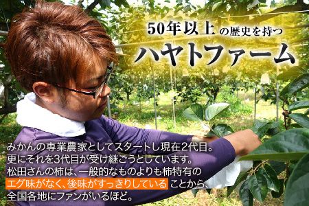 50年以上の歴史を持つ『ハヤトファーム』の太秋柿! 《10月上旬-10月末頃出荷》シャキシャキ食感とすっきり後味 約2.5kg～3kg 5-8玉前後 予約受付中 フルーツ 秋 旬 柿 ---gkt_hyt_2_2500g---