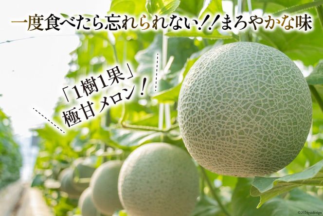 【期間限定発送】AA048 その道一筋の生産者がじっくり丁寧に育てた マスクメロン 2玉入