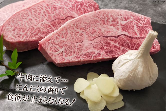 【期間限定発送】 にんにく 国産 500g [甲斐自然派農園 宮崎県 日向市 452060132] ふるさと納税 ニンニク 栽培期間中 無農薬 農薬不使用 化学肥料不使用 日向市産