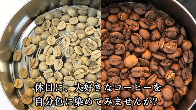 コーヒー 自家焙煎 セット コーヒー豆 200ｇ 2種 × 100ｇ コーヒー ブレンド 生豆 焙煎 初心者 お手軽 ［BN007us］