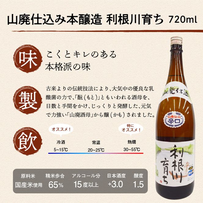 日本酒 清酒 【利根川育ち】 地酒 セット 群馬県 千代田町 晩酌 純米吟醸 本醸造 お酒 酒 冷酒 熱燗 飲み比べ 詰め合わせ 送料無料 お取り寄せ ギフト 贈り物 贈答用 プレゼント