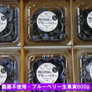 【先行予約】＜すだ農園＞栽培期間中農薬不使用 朝摘み ブルーベリー 生果実 600g ｜ 果実 新鮮フルーツ ※北海道・沖縄・離島への発送不可 ※2025年7月上旬～8月中旬頃に順次発送予定