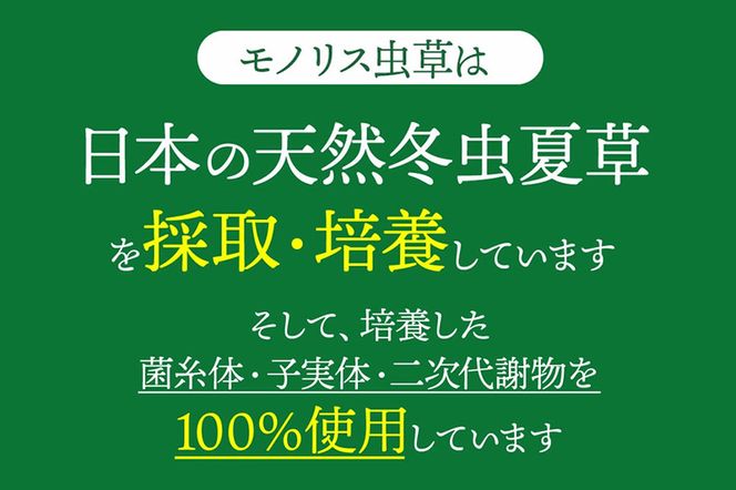 日本産冬虫夏草 モノリス虫草カプセル 120カプセル 1本 (1本30g)|06_mnr-010101