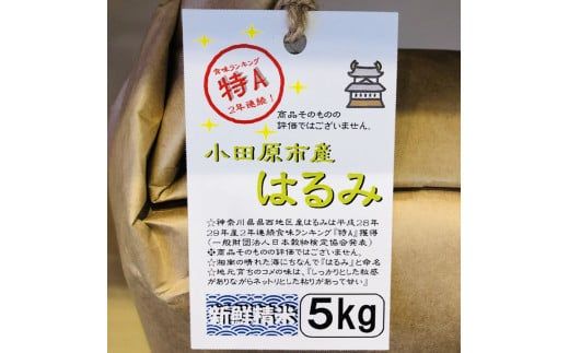 93-2676　志村屋米穀店 令和6年産新米小田原市産　はるみ　15kg（5kgｘ3）＜出荷時期：10月中旬より順次出荷開始＞