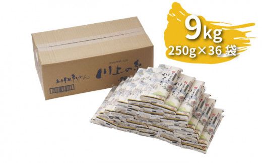 【宮内庁献上品】島原手延べそうめん 川上の糸 250g×36袋（9kg） / 素麺 島原そうめん 麺 / 南島原市 / 川上製麺 [SCM056]