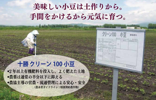 099H2436 【創業80年】つぶ餡 合計 2kg 小分け 1kg×2P【泉州 和菓子 スイーツ おしるこ あんバター】