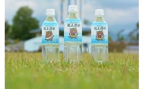 山梨県甲斐市のミネラルウォーター　「甲斐のうまい水　龍王源水」490ml×24本入　Z-2