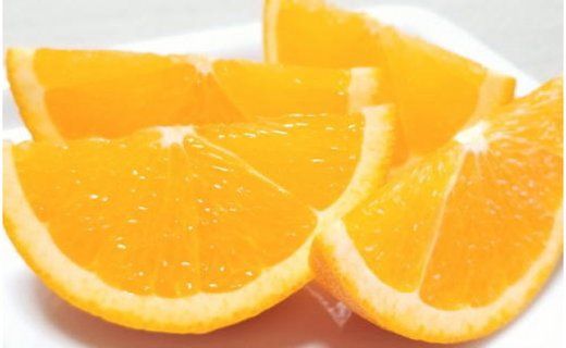有田産濃厚バレンシアオレンジ 約7.5kg（M～2Lサイズおまかせ）★2024年6月中旬より順次発送予定　BZ082