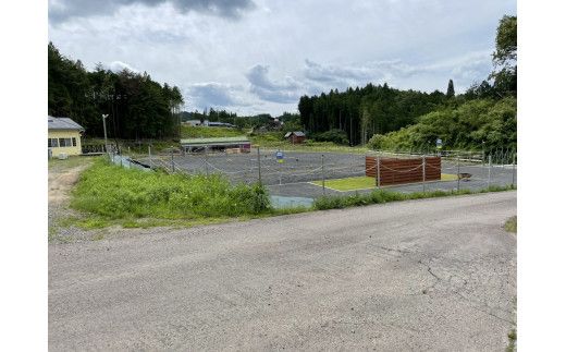 体験乗馬 1回 (20分) 乗馬体験 馬 東海 岐阜県 