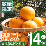 ＜先行予約受付中！2025年3月中旬以降発送予定＞数量限定！鹿児島県産清見(14個・2L)柑橘 フルーツ 果物 国産 みかん 期間限定【株式会社イロドリ】a-10-43-z