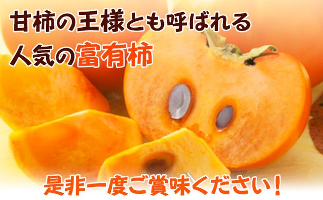 【先行予約】甘柿の王様 和歌山産 富有柿 約7.5kg 秀品 サイズおまかせ 厳選館《2026年11月中旬-12月上旬頃出荷》和歌山県 日高町 柿 カキ フルーツ ジューシー---iwsh_gsk171_11c12j_25_22000_75---
