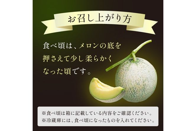 【先行予約／数量限定500】京丹後産 砂丘メロン 大玉2L以上 1玉（2025年7月下旬～発送）　国産 メロン めろん 2024フルーツ ふるーつ 果物 くだもの 農家応援 生産者応援　HF00003