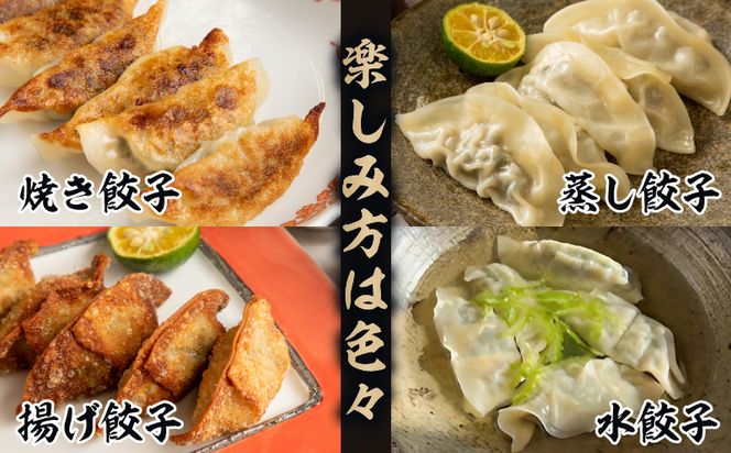 【定期便 全2回お届け】金豚餃子セット（香港餃子・しそ餃子・にら餃子　1パック10個入×各2パック）_M166-T002-2