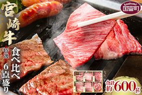 ＜宮崎牛特選食べ比べ6点盛り 合計約600g (約100g×6種)＞2か月以内に順次出荷【a0504_sh】