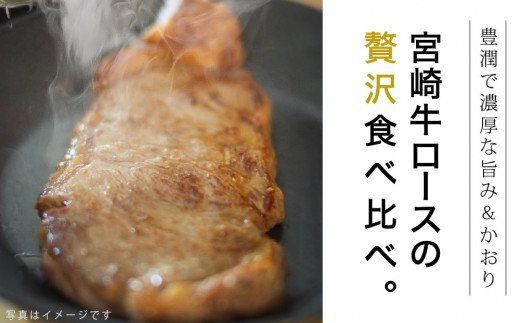 宮崎牛ロース食べ比べセット400g [G7415]