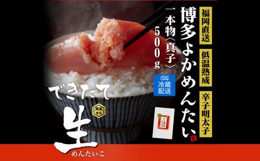 ycszⓀ hqq 悩߂񂽂  p 500g 1{ ^q F