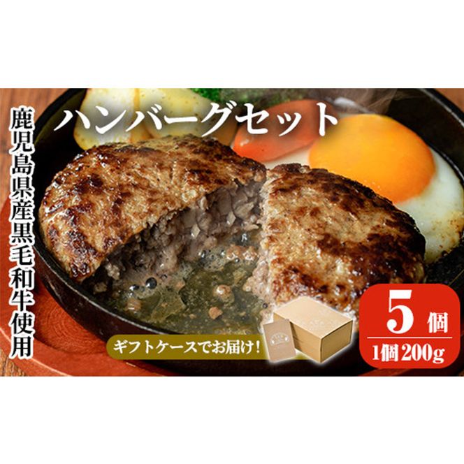 a750 鹿児島県産黒毛和牛ハンバーグセット(200g×5パック)【AKR Food Company】姶良市 国産 牛肉100% 冷凍 小分け