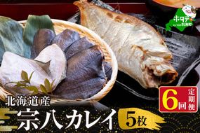 【定期便】北海道 産 一夜干し 宗八 カレイ 5枚 × 6ヵ月 【全 6回 】