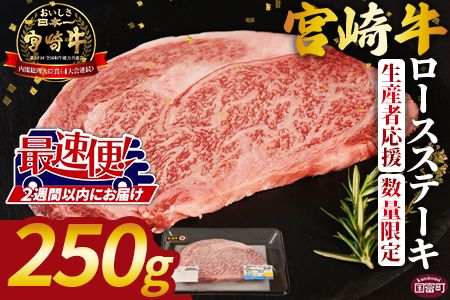 生産者応援 期間限定 数量限定 [宮崎牛ロースステーキ 1枚]2週間以内に発送[ 国産 黒毛和牛 牛肉 牛 精肉 ロース ロース肉 ステーキ 4等級以上 ブランド牛 赤身 贈答品 ギフト 贈り物 化粧箱 グルメ ミヤチク 宮崎県 国富町 ][b0738_my]