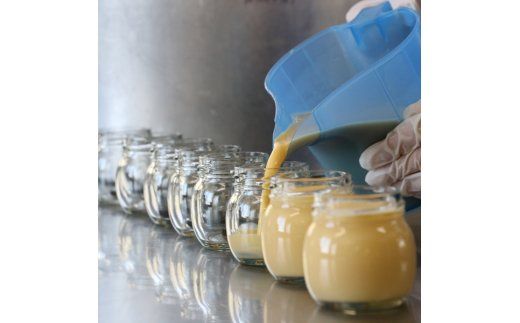 南アルプス山麓プリン（とれたて卵のプリン）１６本セット　ぷりん プリン たまご 卵 鶏卵 お菓子 おやつ スイーツ