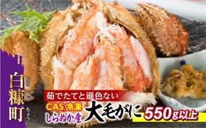 しらぬか産 CAS冷凍大サイズ毛がに【550g以上】