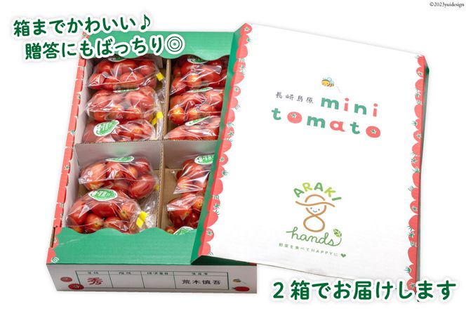 AH068【小分けでうれしい♪】アイコトマト4.8kg（200g×24袋）