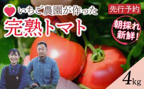 【 先行予約 】朝採り 完熟トマト 4kg（大玉） 鮮度抜群 がもう農園 直送 7月より発送 福島県 田村市