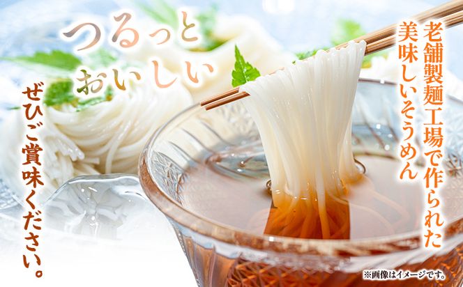 そうめん 天日干し手延べそうめん 9kg 河田賢一製麵工場《30日以内に出荷予定(土日祝除く)》岡山県 浅口市 そうめん 素麺 麺 9kg 夏 手延べ 送料無料---124_67_30d_23_30000_9---