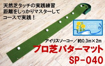 【父の日ギフト】ゴルフ練習用　アイリスソーコー　プロ芝パターマット　SP-040_2408R