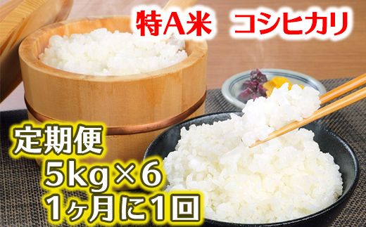 「コシヒカリ」　白米定期便　６か月で５kgを６回お届け（１か月に1回）【C041U】