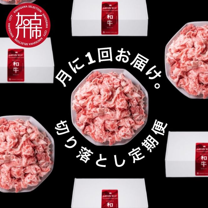 全12回定期便 肉のまち加古川 プリンセス和牛 切り落とし(500g×12か月)《 定期便 肉 和牛 切り落とし 牛肉 肉じゃが 牛丼 プルコギ カレー 日常使い おいしい おすすめ 贈答 プレゼント 》