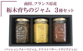 南国、フランス原産　栃木育ちのジャム３種セット（パッションフルーツジャム、リリコイバター、イチジクジャム） ※着日指定不可◇