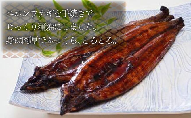 うなぎ蒲焼 3尾セット（合計600g以上） F-124