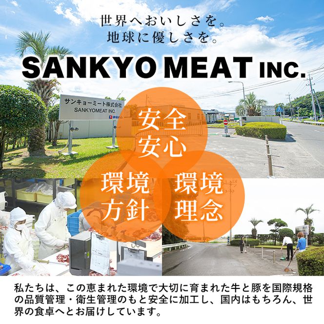 鹿児島県産黒豚切り落とし＜計2.4kg(300ｇ×8P)＞ a6-002