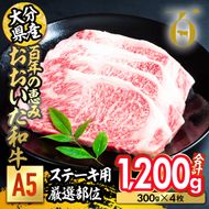 百年の恵み おおいた和牛 A5 ステーキ用 厚切り 厳選部位 (計1.2kg・300g×4枚) 国産 牛肉 肉 霜降り ロース 肩ロース サーロイン 和牛 ブランド牛 ステーキ 冷凍 【FS11】【 (株)トキハインダストリー】