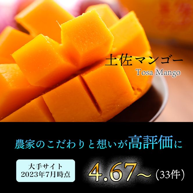 かおる・とろける！土佐マンゴー(2～5個)×１箱 