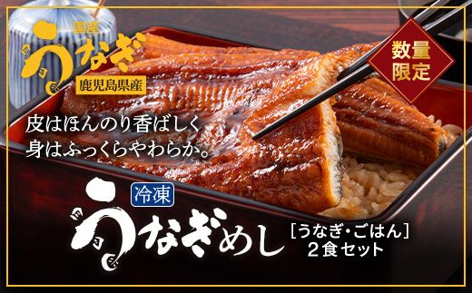 鹿児島県産うなぎ使用 冷凍うなぎめし 2食セット ※離島への配送不可