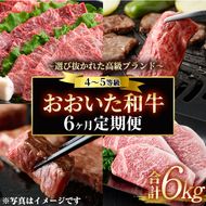 ＜定期便・全6回 (隔月)＞おおいた和牛 定期便 (総量6kg) しゃぶしゃぶ ステーキ 焼肉 すき焼き モモ サーロイン ソース付き ばら ロース ヒレ 小分け 国産 4等級 和牛 牛肉 大分県 佐伯市【DP70】【(株)まるひで】