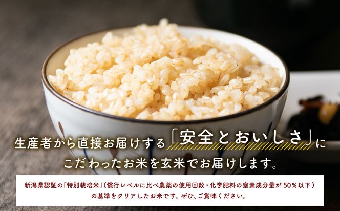 AB4019 【令和5年産米】特別栽培米  新潟県岩船産 コシヒカリ 玄米 10kg