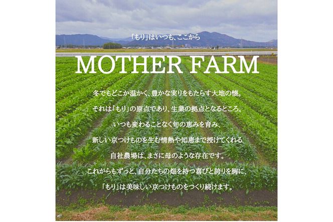 《京つけものもり》漬物 業務用 千枚漬 1kg（500g×2袋） ※2024年11月上旬～2025年2月中旬頃に順次発送予定