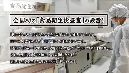 近江牛A5ランク焼肉・すき焼セット【800g】【DG11SM】