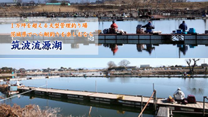 【 八千代グリーンビレッジ 憩遊館 やちよ乃湯 】 温泉 入浴 回数券 3回分 ＋【 筑波流源湖 】 ヘラブナ釣り 回数券 3回分 つり 利用券 体験 チケット セット [AN011ya]