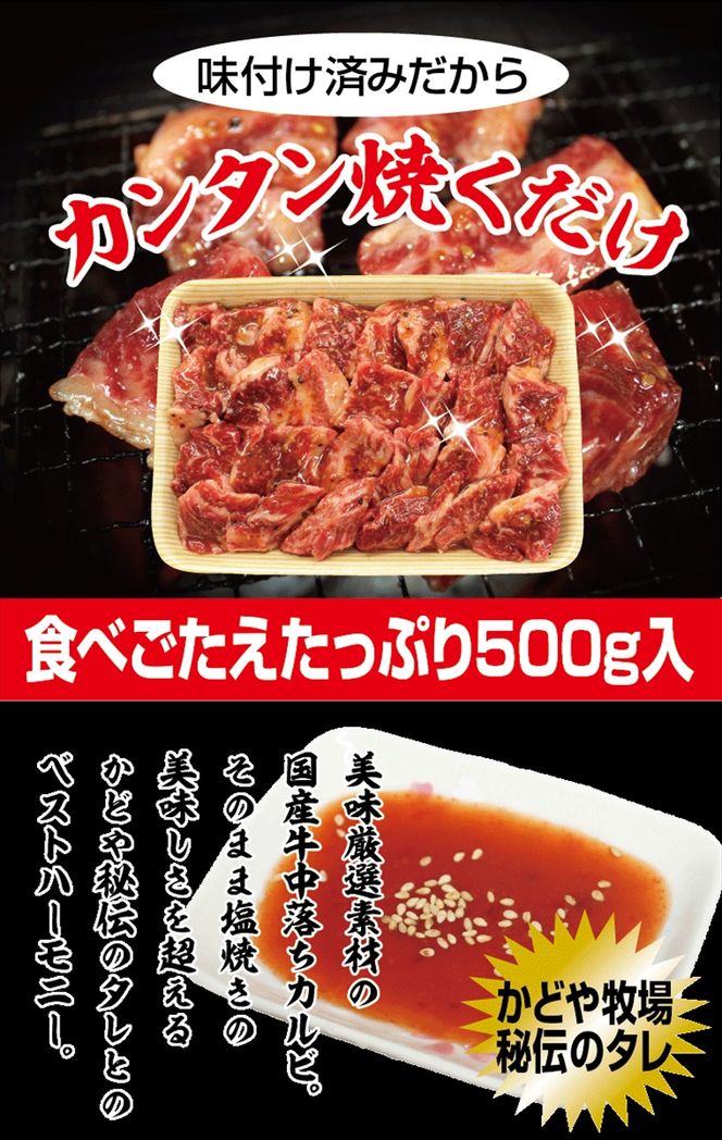 7-2195　国産牛中落ちカルビ焼肉用 500g【牛肉 国産 お肉 神奈川県 小田原市 】