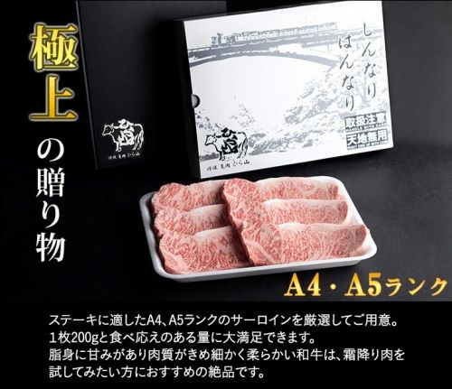 訳あり 京都産黒毛和牛(A4,A5) サーロインステーキ 200g×2枚【計400g】 京の肉 ひら山 厳選 ｜ 和牛 牛肉 亀岡牛 京都肉 国産 京都 丹波産 ふるさと納税 ステーキ ふるさと納税牛肉